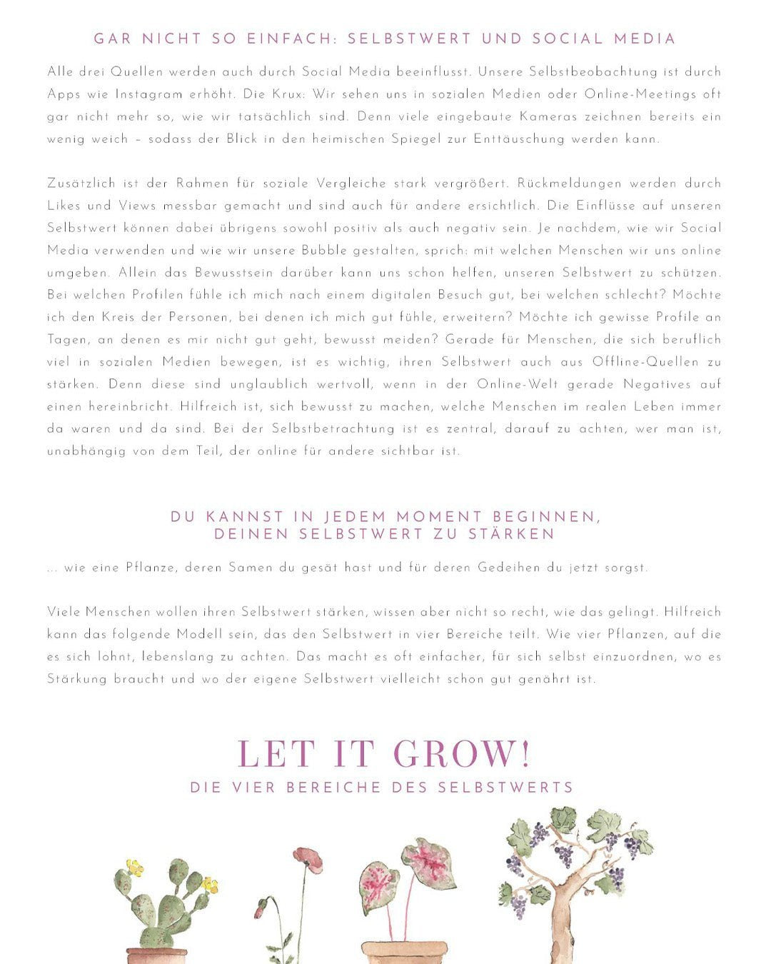 New Beginnings - Magazin - Magazin - MARKTSAM