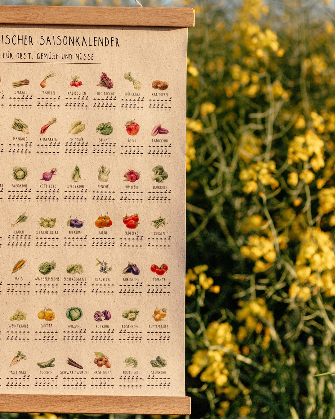 Heimischer Saisonkalender - Poster - Saisonkalender - MARKTSAM