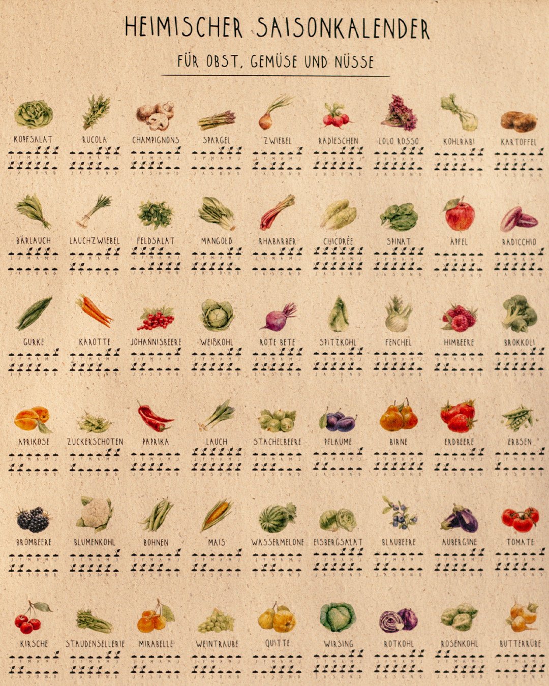 Heimischer Saisonkalender - Poster - Saisonkalender - MARKTSAM