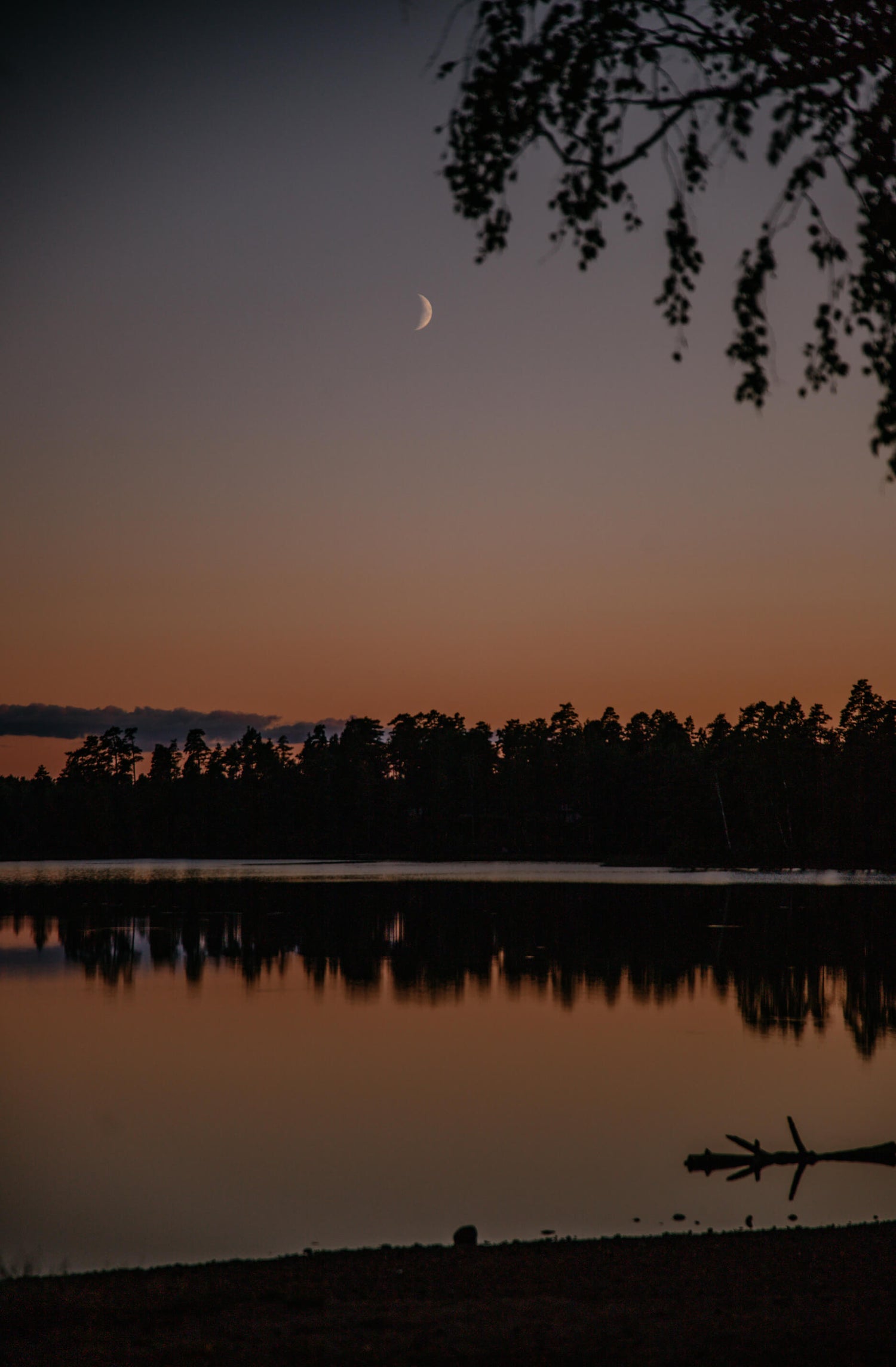 Sonnenuntergang in Schweden am See. Der Mond zeigt sich schon am Himmel.