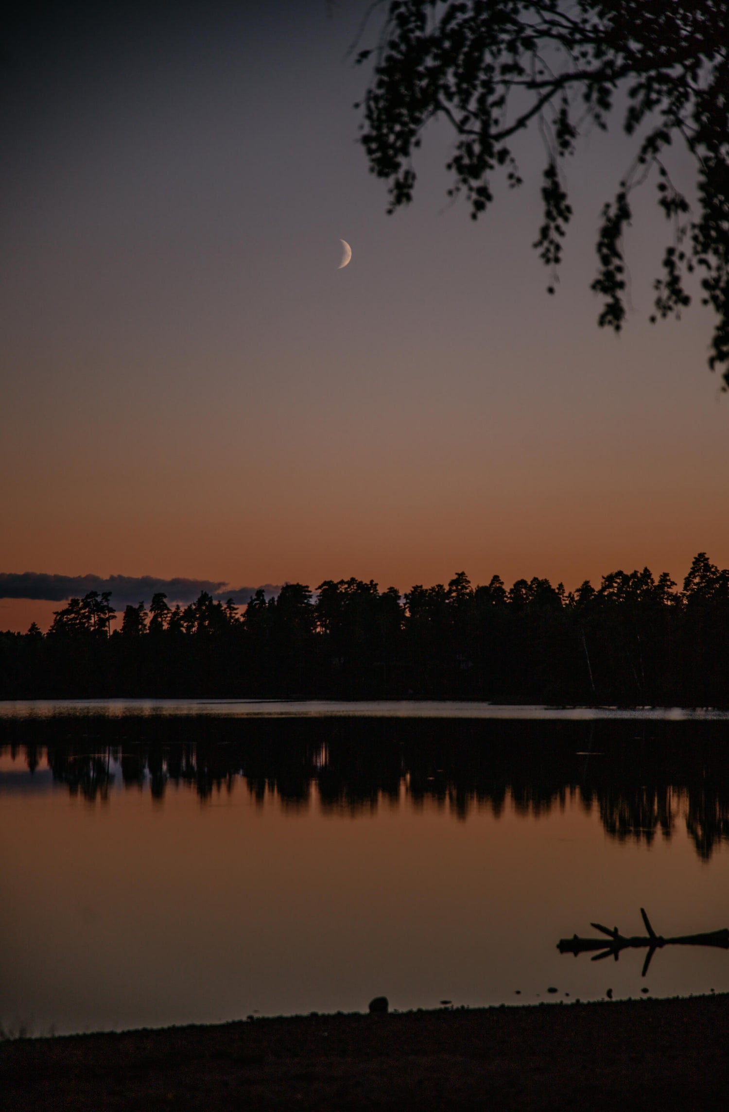 Sonnenuntergang in Schweden am See. Der Mond zeigt sich schon am Himmel. 